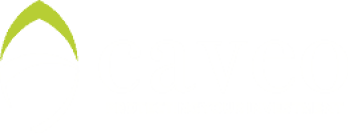 review-132-Caveo-logo
